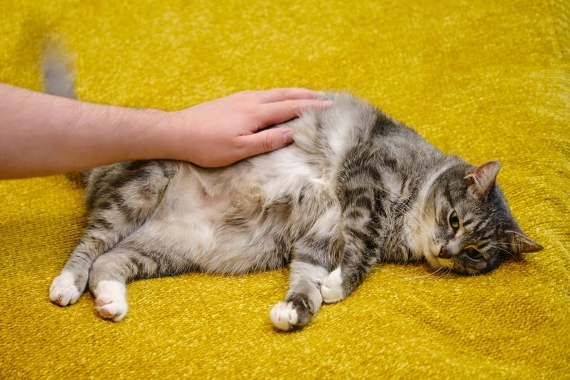Reduces Bloating and Gas