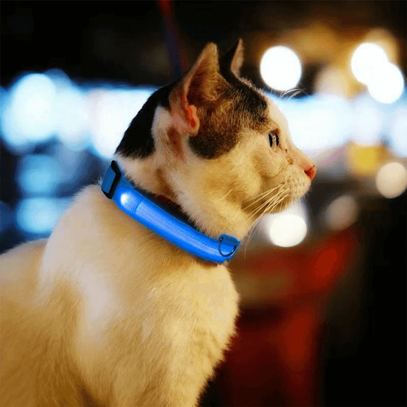 Reflective Gear for Night Safety