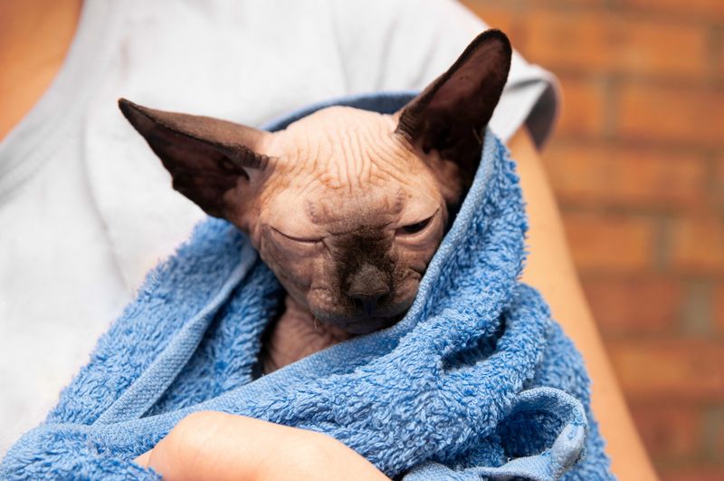 Regular Baths