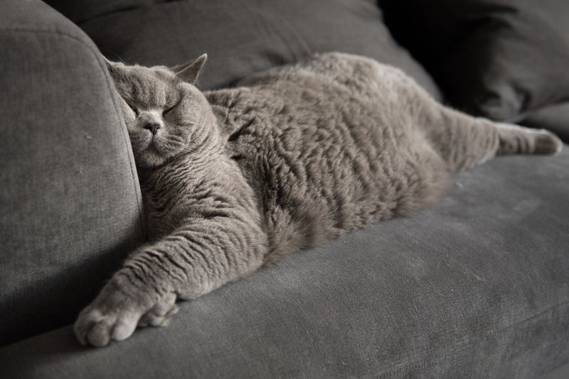 Restlessness or Frequent Position Changes During Sleep