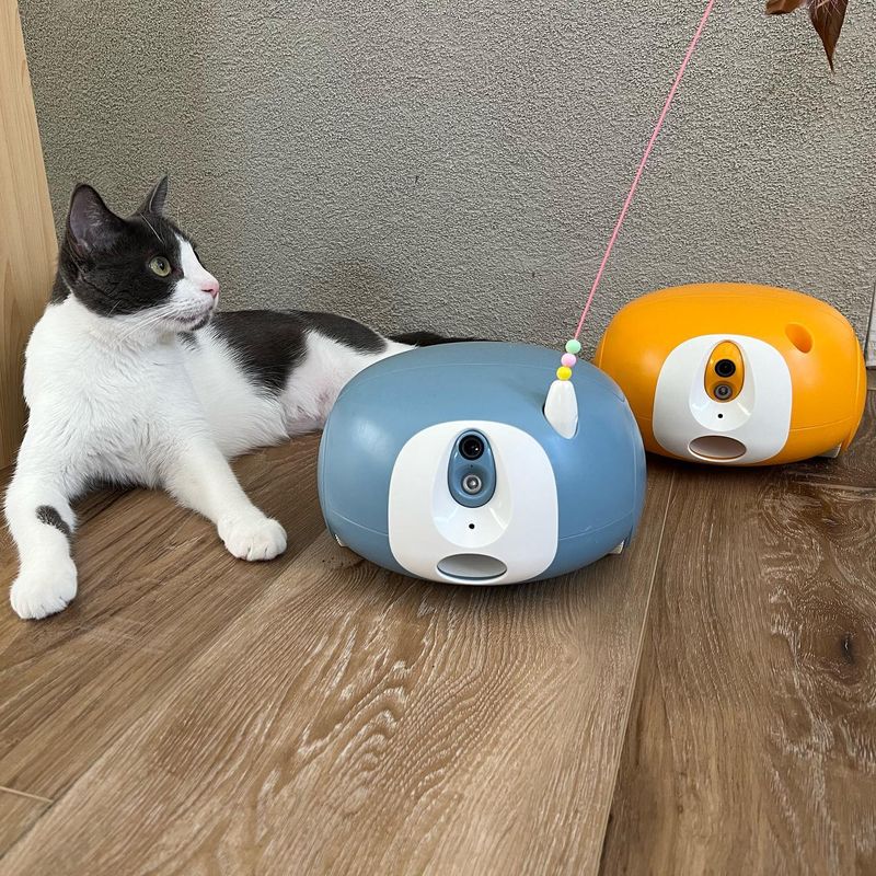 Robotic Moving Toys