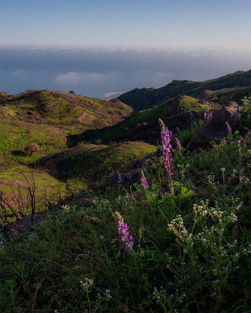 Santa Monica Mountains, California