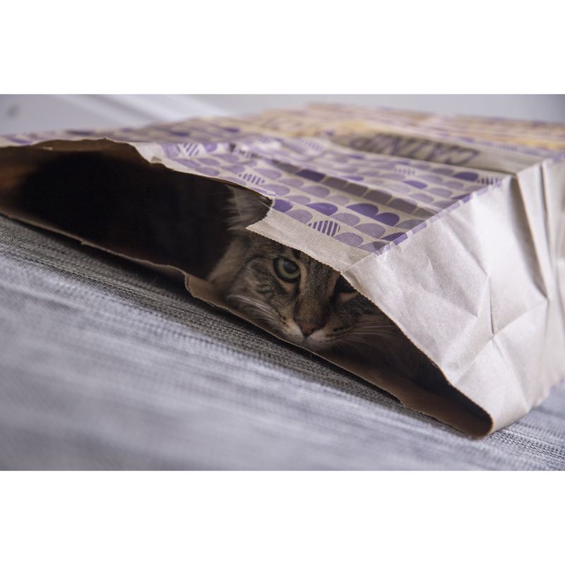 Scent-Infused Paper Bags