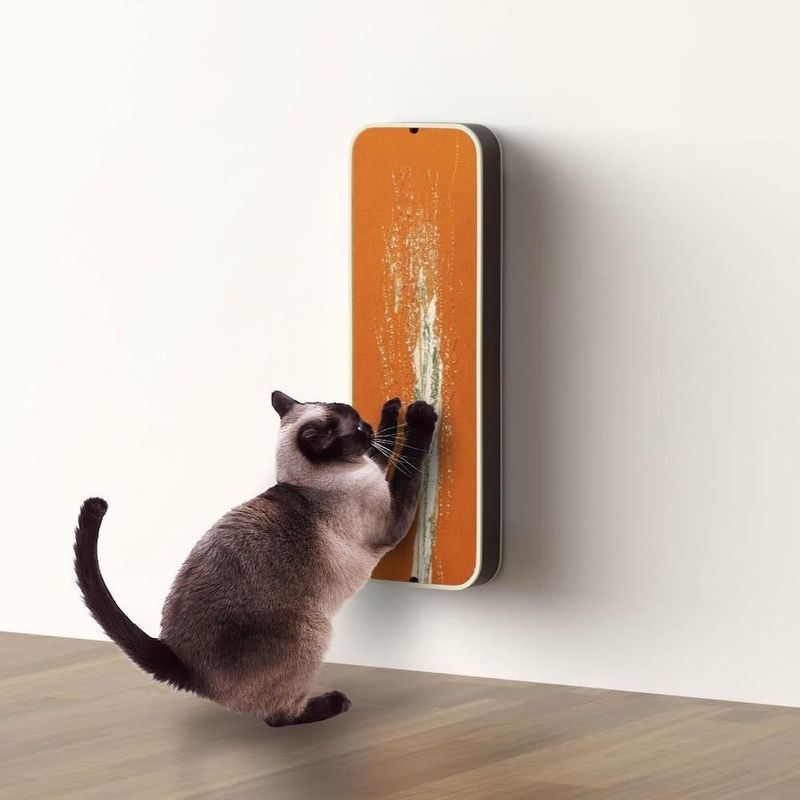 Scratching Posts