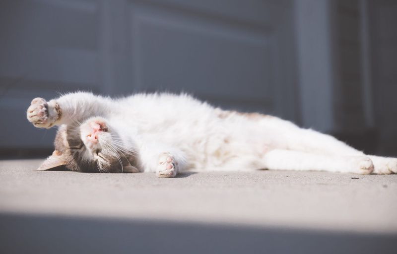 Self-Soothing Superpowers