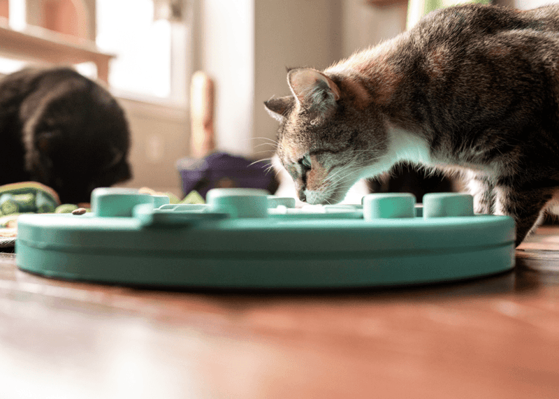 Serve Dinner in Puzzle Formats