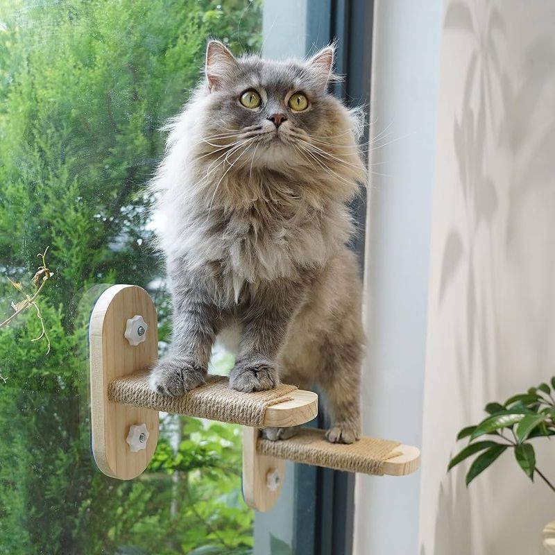 Set Up Bird-Watching Stations