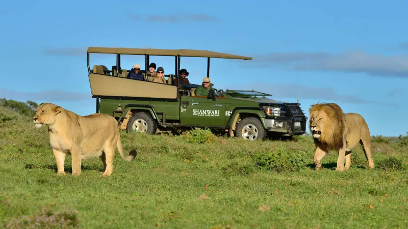 Shamwari Big Five Game Reserve – South Africa
