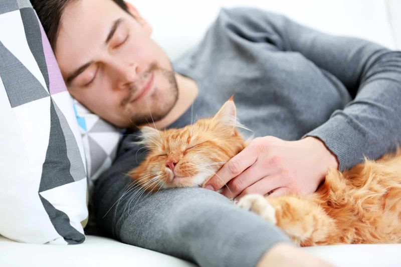 Shared Nap Time
