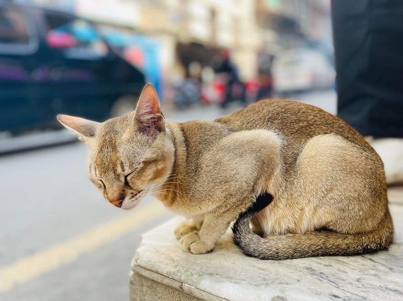 Singapura