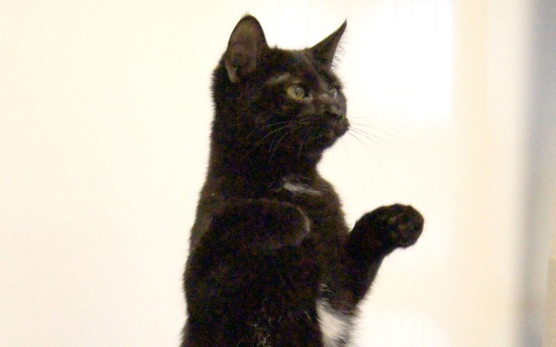Sit