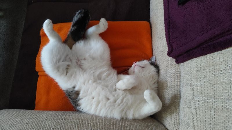 Sleeping in Odd Locations