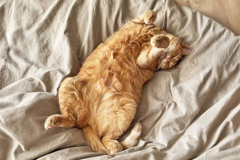Sleeping in Vulnerable Positions Near You