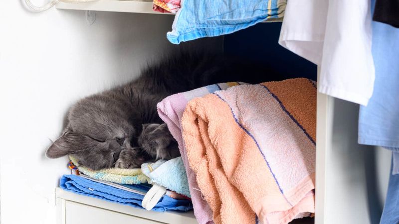Sleeping on Your Belongings