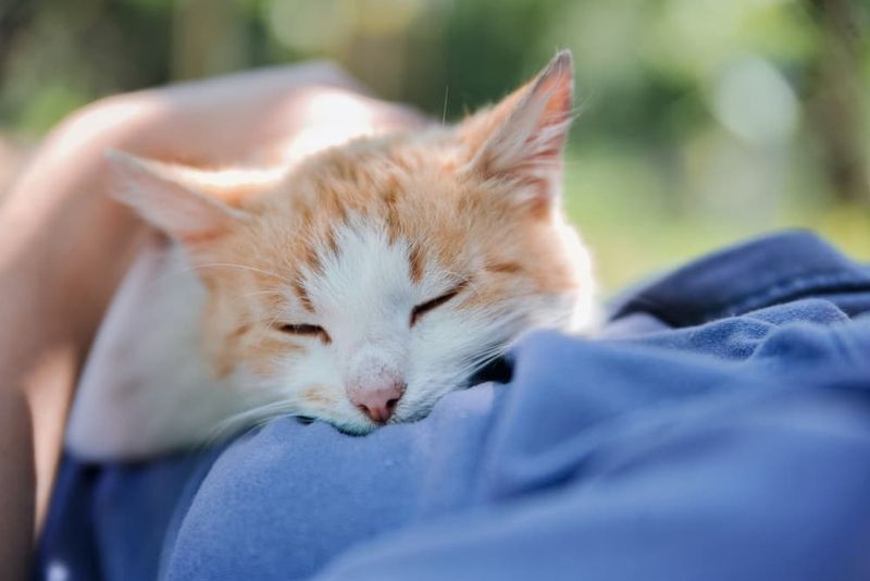Sleeping on Your Chest or Near Your Face