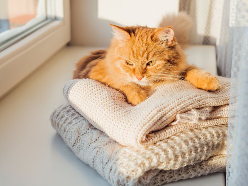 Sleeping on Your Clothes or Bed