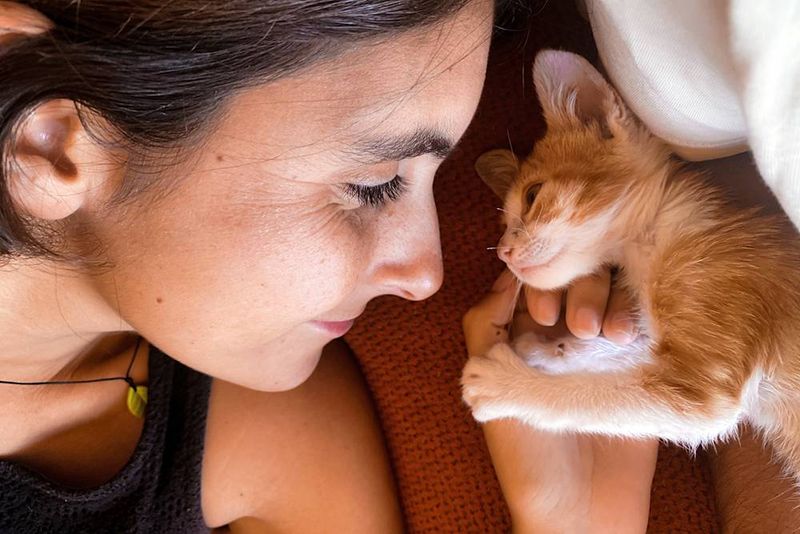 Slow Blinks For Kitty Kisses
