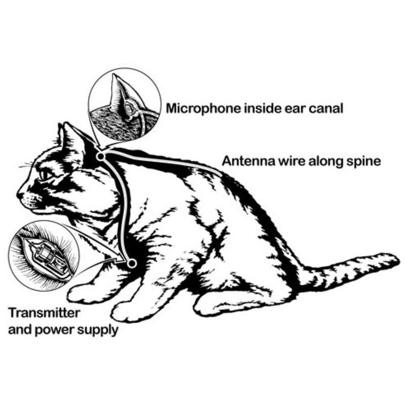 Snowball: The CIA's Feline Operative