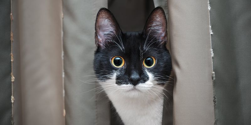 Staring at You