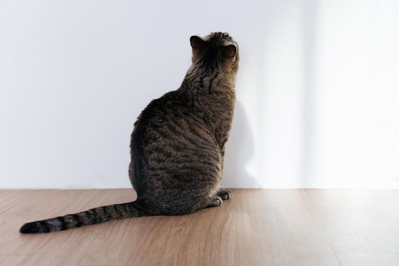 Staring into Empty Corners