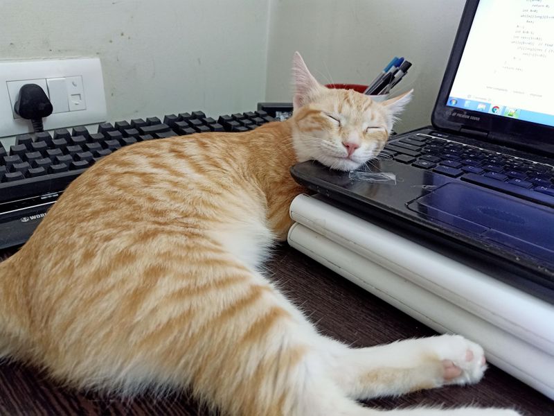 Strategic Keyboard Occupation