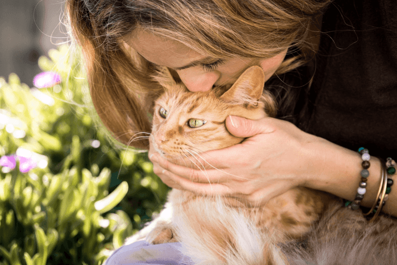 Stress-Reducing Purr Machines