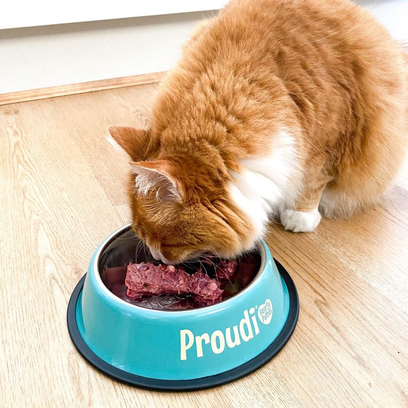 Stress and Environment Affect Appetite