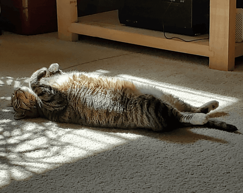 Stretching Out