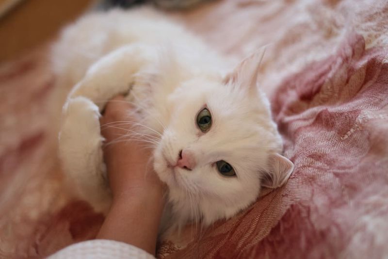 Suddenly Bolting Mid-Cuddle