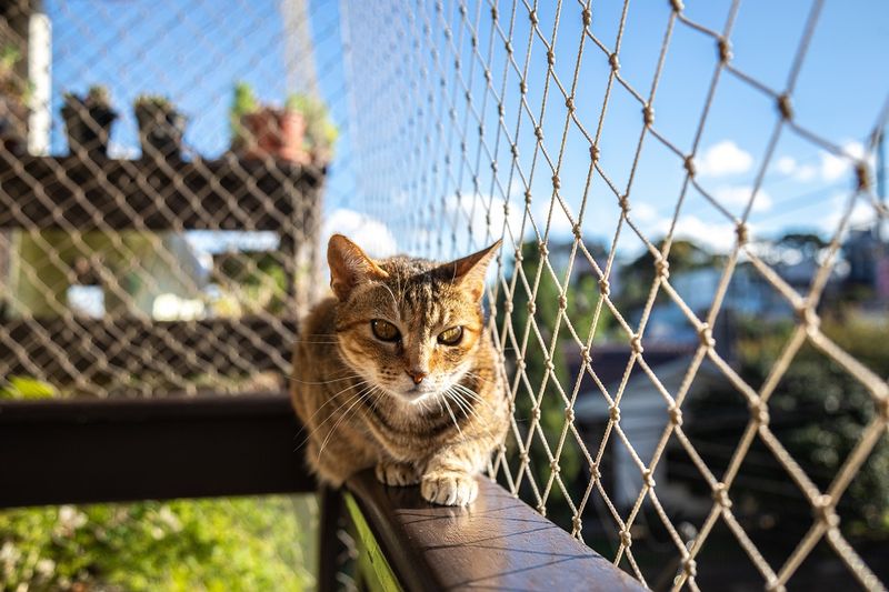 Supervised Outdoor Time or Enclosures