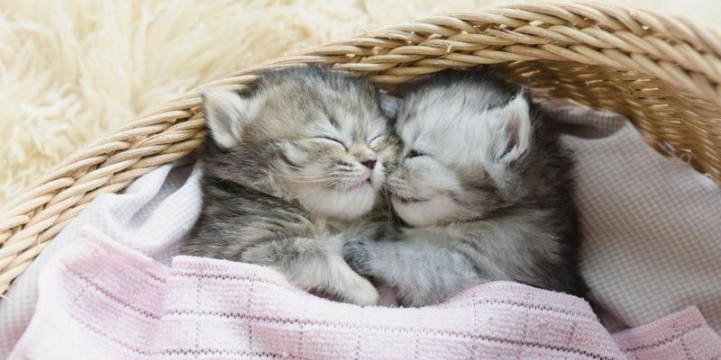Synchronized Sleeping