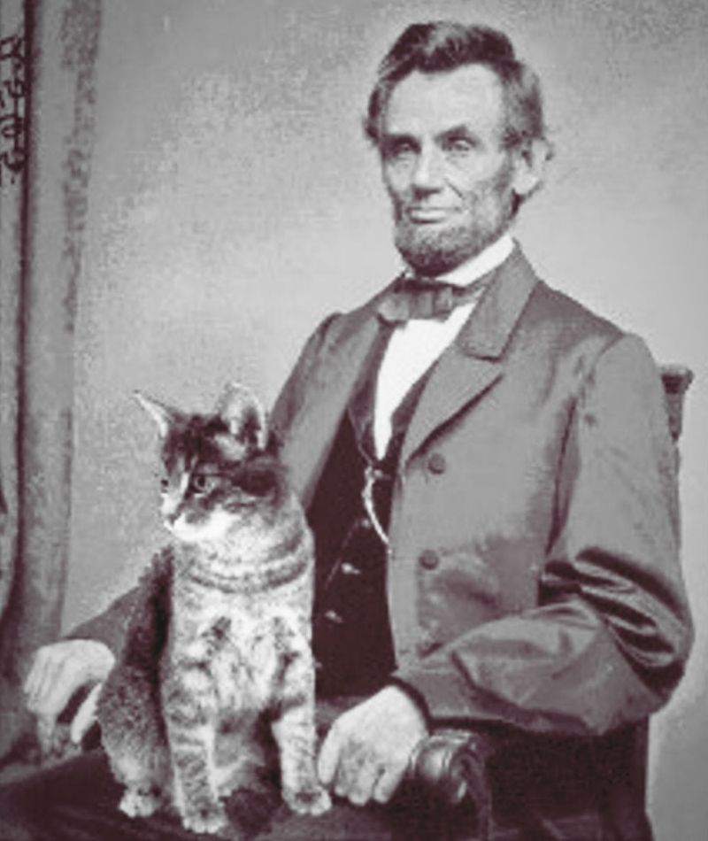 Tabby Lincoln: Honest Abe's Feline Friend