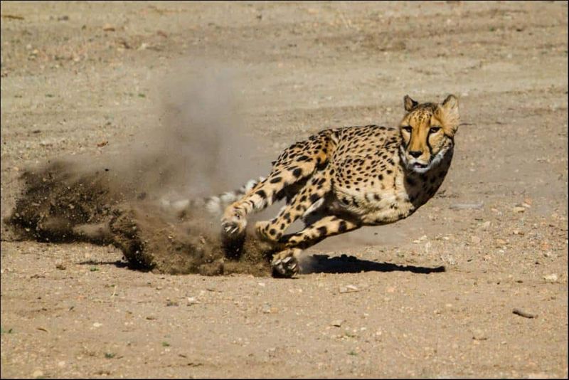 Tail Function