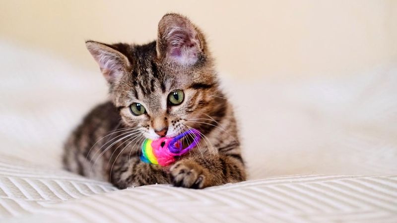 Teething Troubles