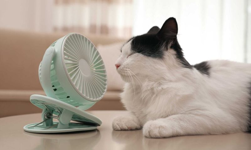 Temperature Discomfort