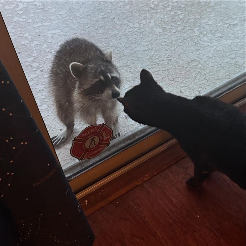 Territory Tensions Run High