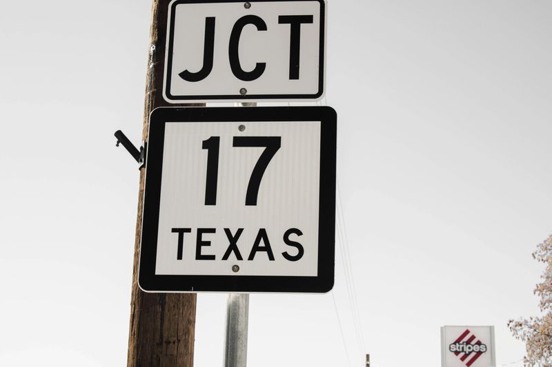 Texas' Tremendous Cat Challenge