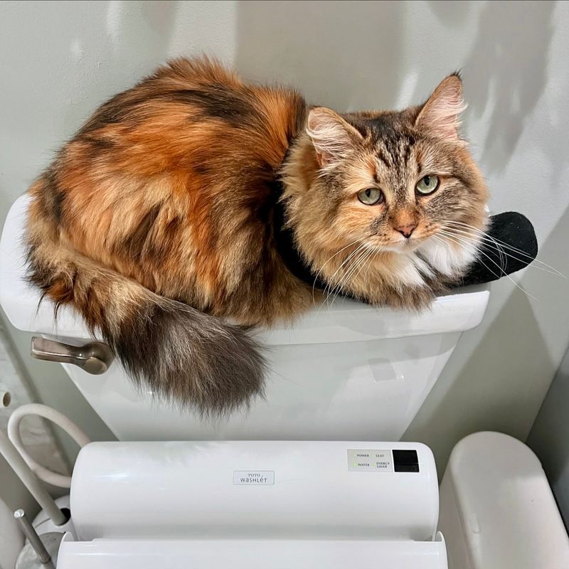 The Bathroom Stalker