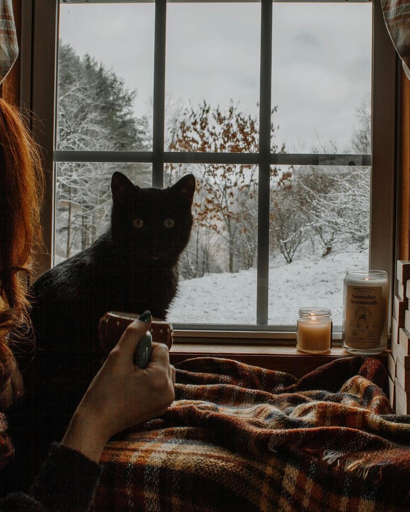 The Chirping Window Watcher