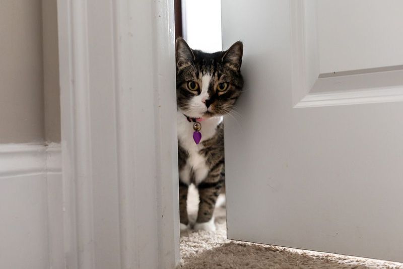 The Judgmental Bathroom Supervision