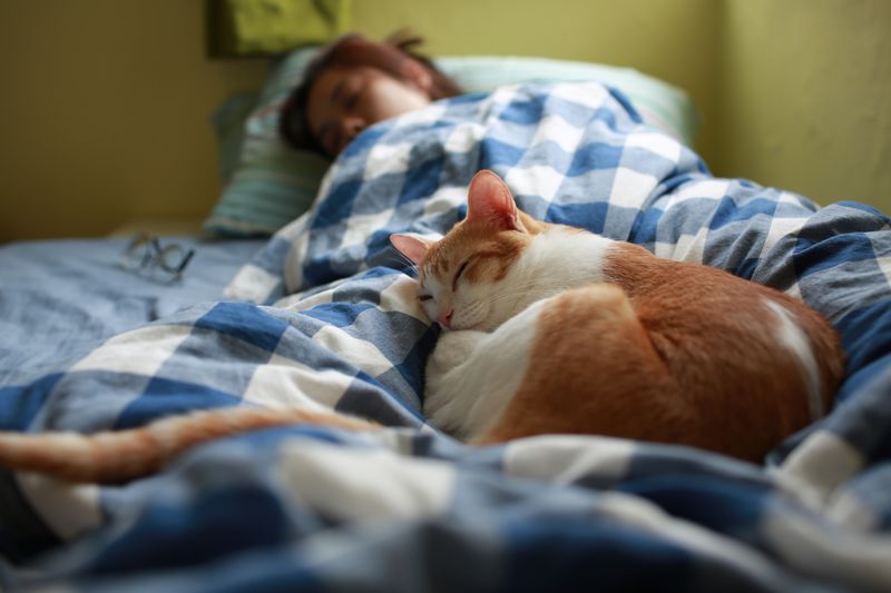 The Magical Bedtime Cuddle