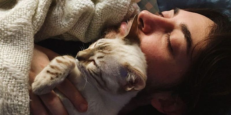 The Midnight Face-Paw Awakening