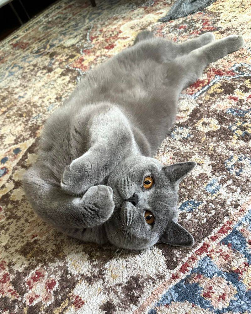 The Morning Greeting Ritual