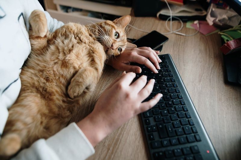 The Strategic Keyboard Occupation
