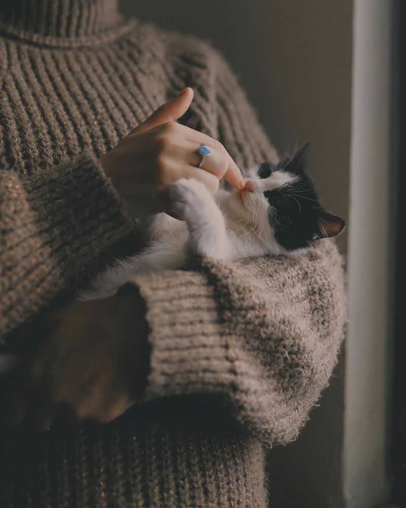 They Gravitate Toward People Who Need Comfort