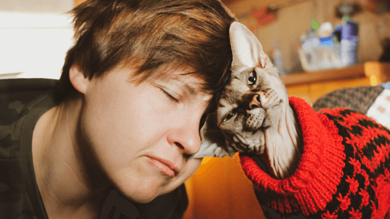 They Headbutt You (Cat Kisses)