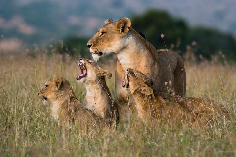 Threat to Offspring