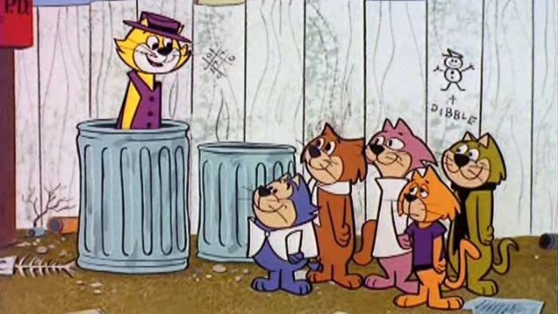 Top Cat