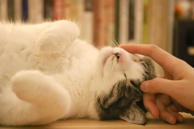 Touch-Based Affection That’s Selective