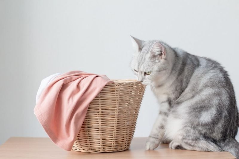Towel Time with a Twist
